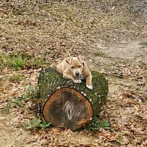 Meet your Posher, Lee